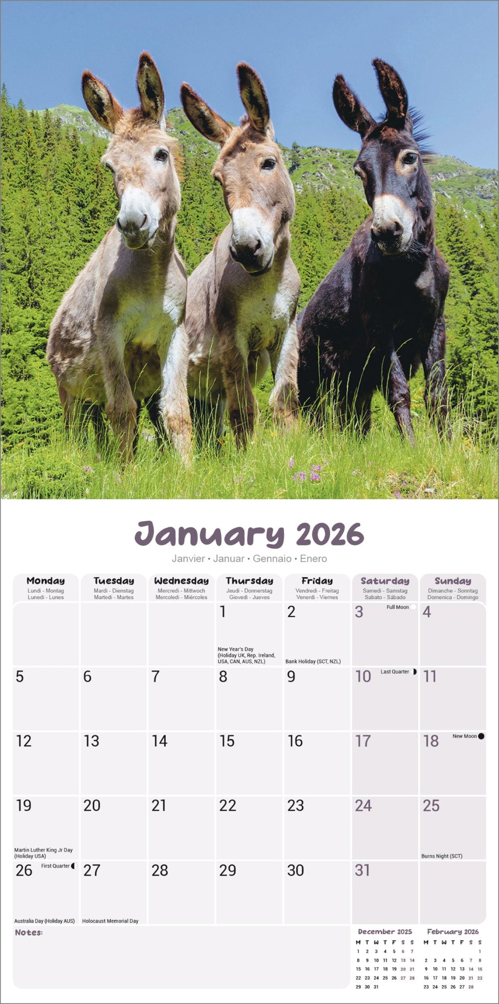 Donkey Square Calendar 2026