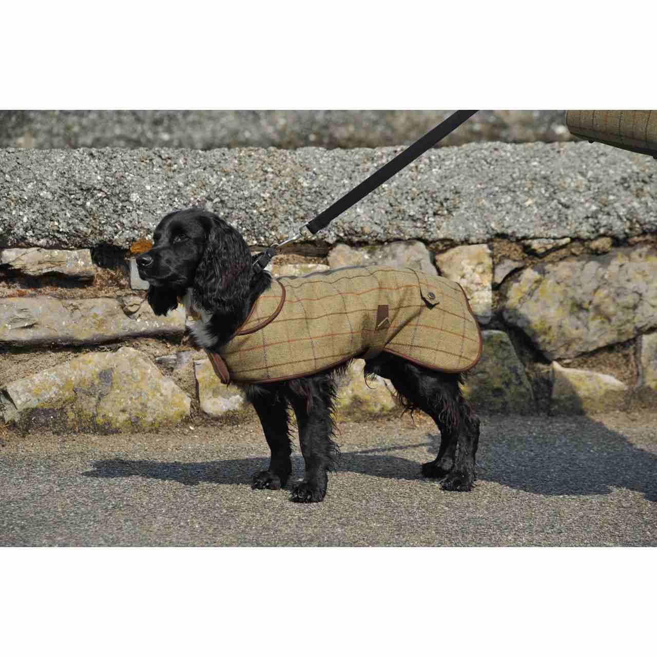 Manteau pour chien Tweedmill Country