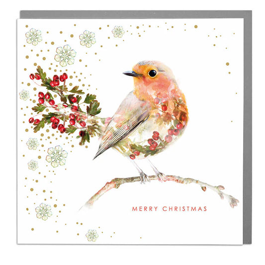 Merry Christmas Robin Card