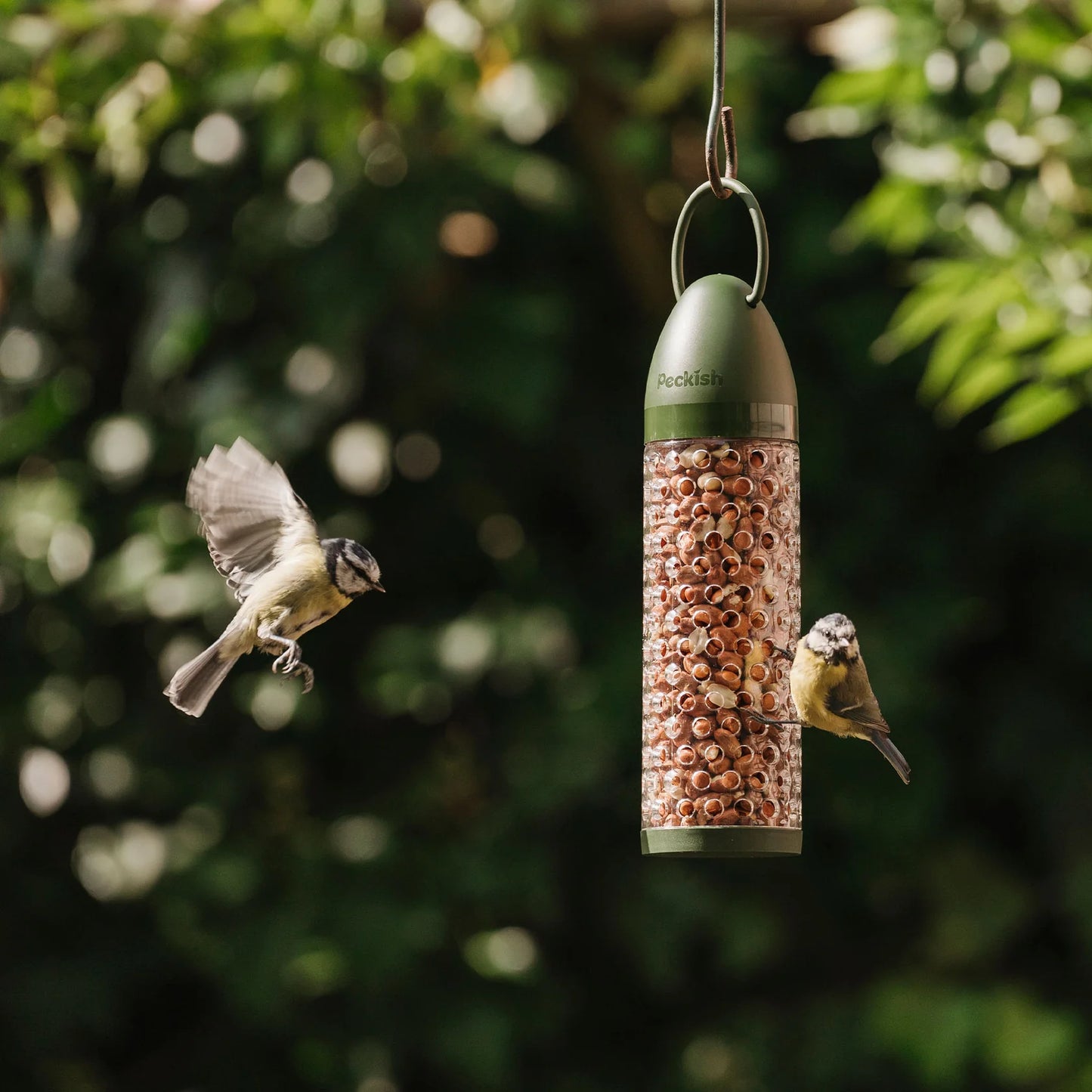 Peckish Peanuts Filled Feeder