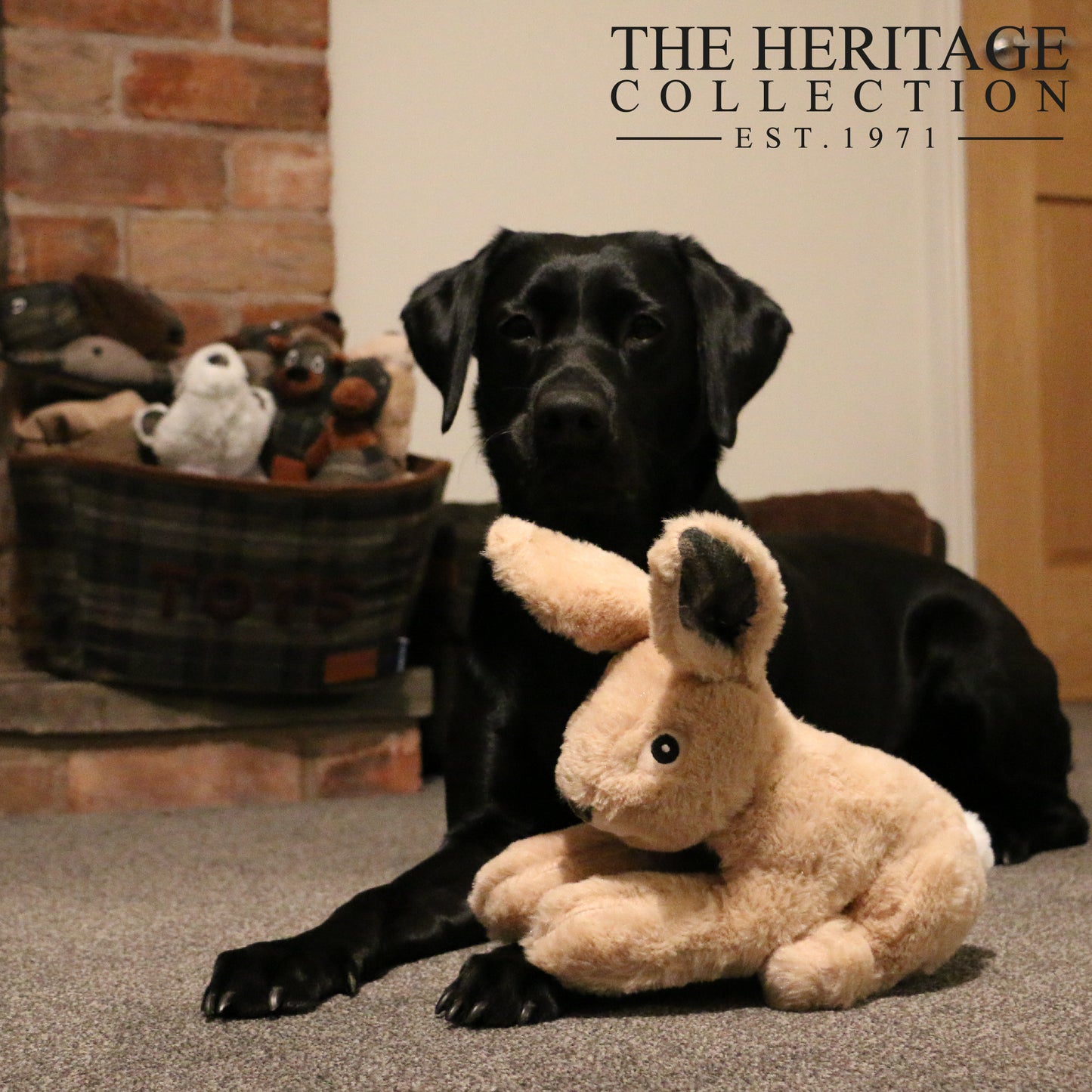 Tartan Rabbit Dog Toy