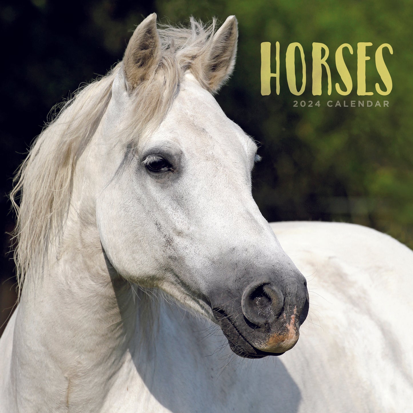Horses Square Calendar 2024