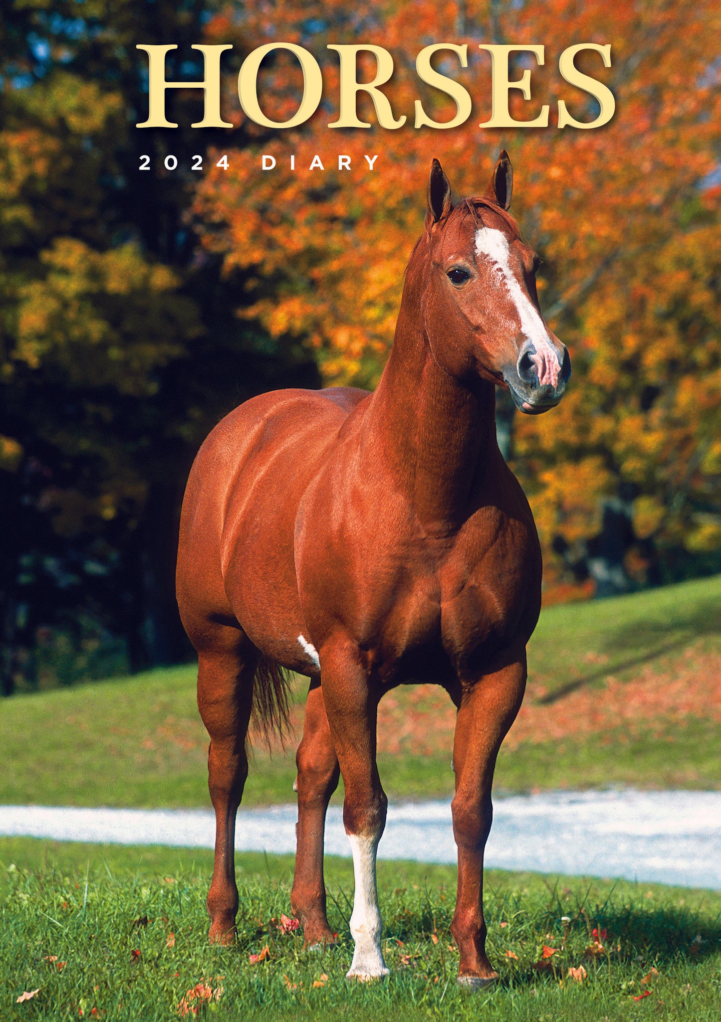 Horses A5 Spiral Bound Diary 2024