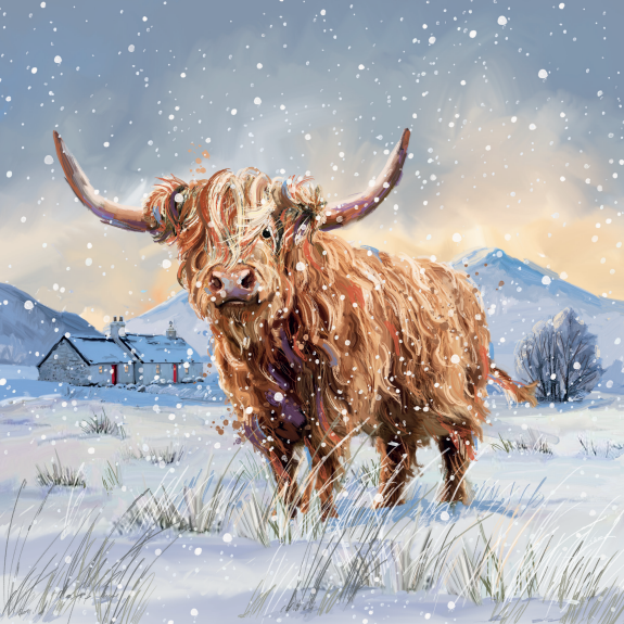 Vaca de las tierras altas
