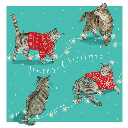 Pack de pare-chocs de cartes de Noël Redwings (5 paquets)