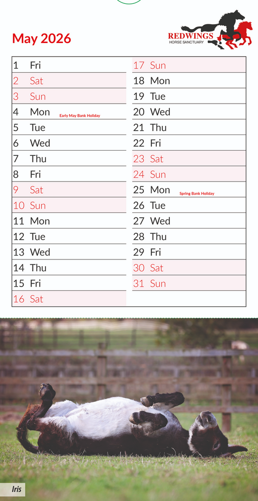 Calendrier de carte postale des Redwings 2025