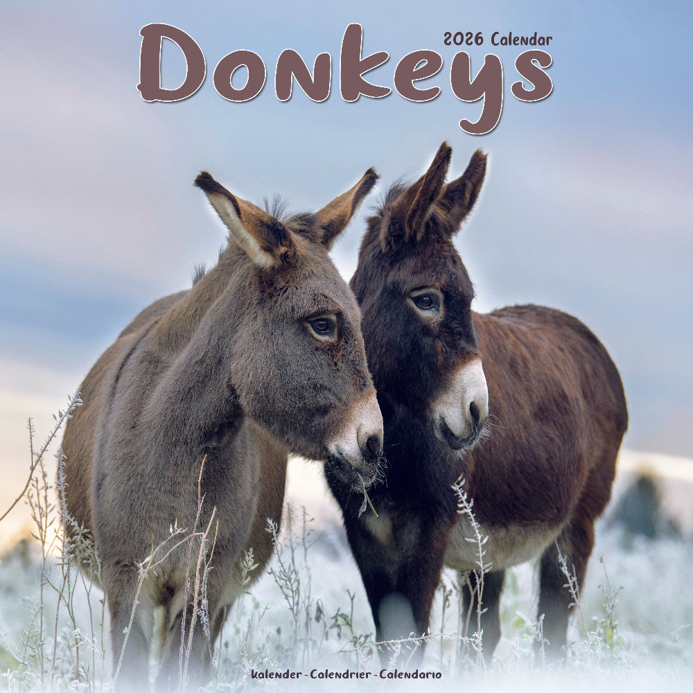 Donkey Square Calendar 2026