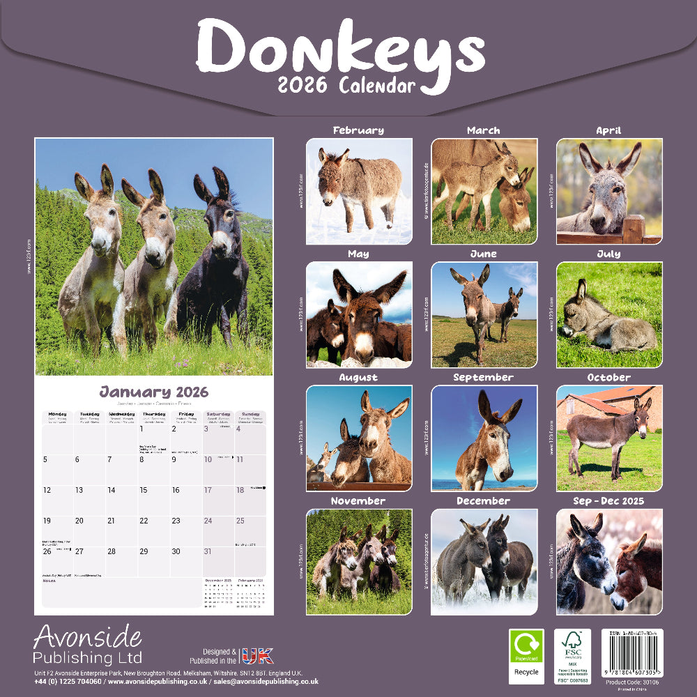Donkey Square Calendar 2026