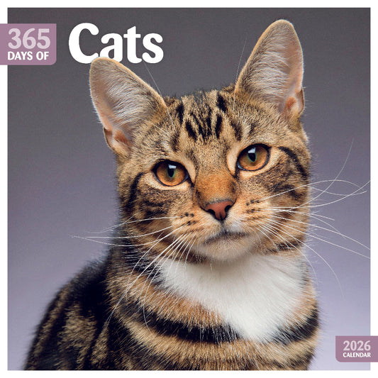 Cats 365 Days Square Calendar 2026