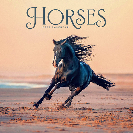 Horses Square Calendar 2026