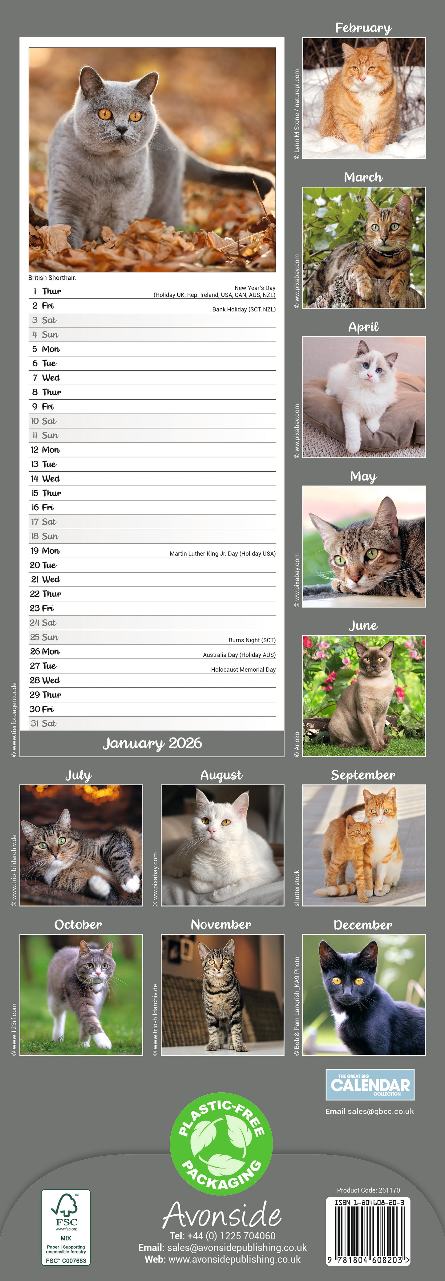 Cats Slim Calendar 2026