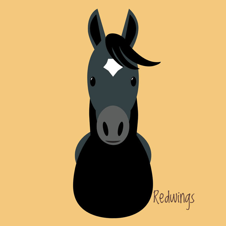 Imán cerámico ilustrado de Redwings