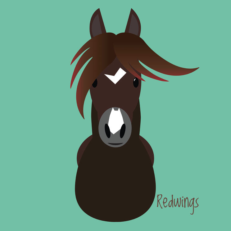 Imán cerámico ilustrado de Redwings