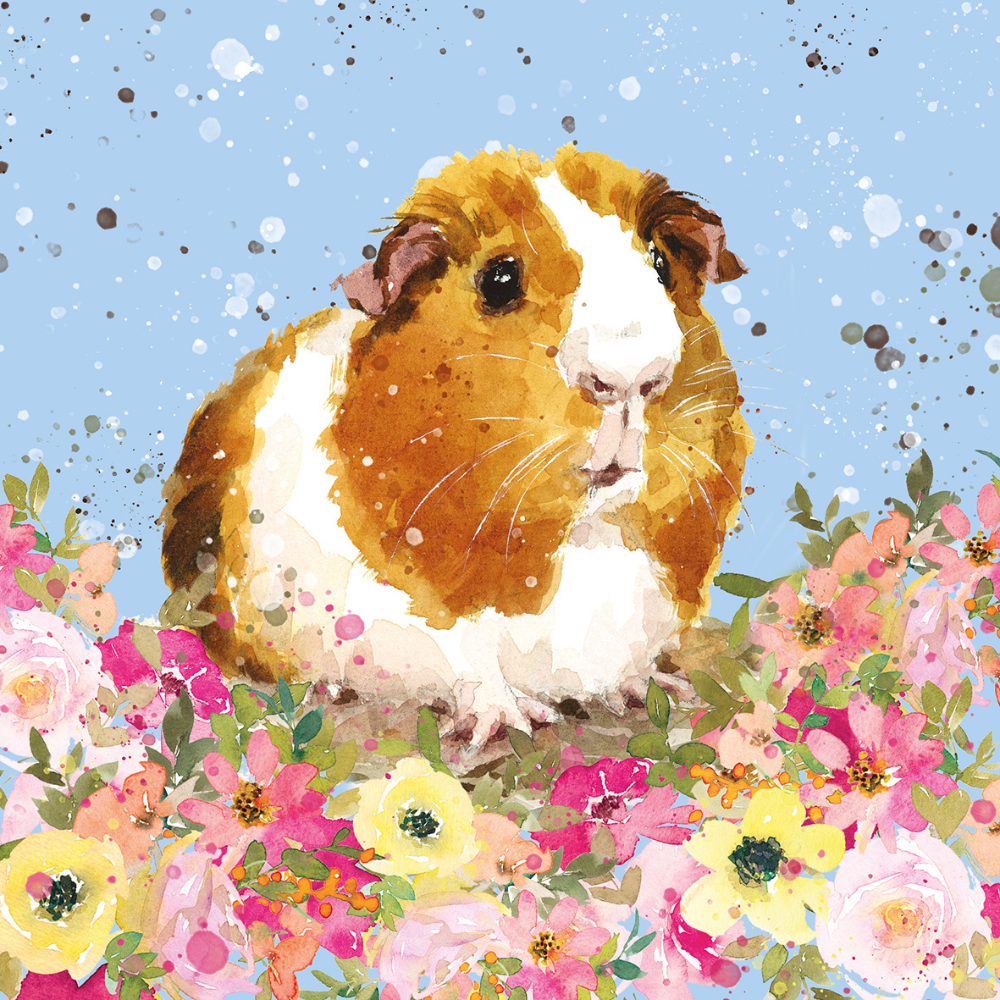 Paquete de parachoques de tarjetas de animales Redwings