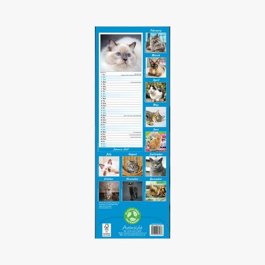 Cats Slim calendar 2027