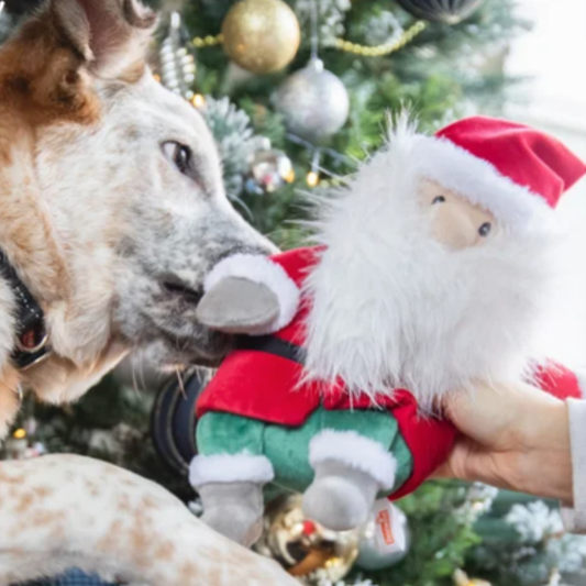 Sebastian Santa