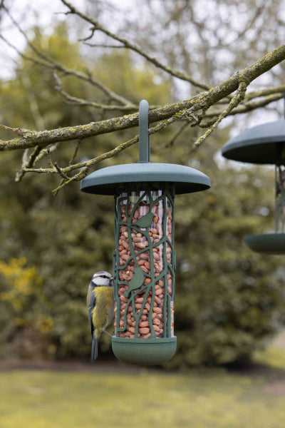 Recycled Peanut Bird Feeder