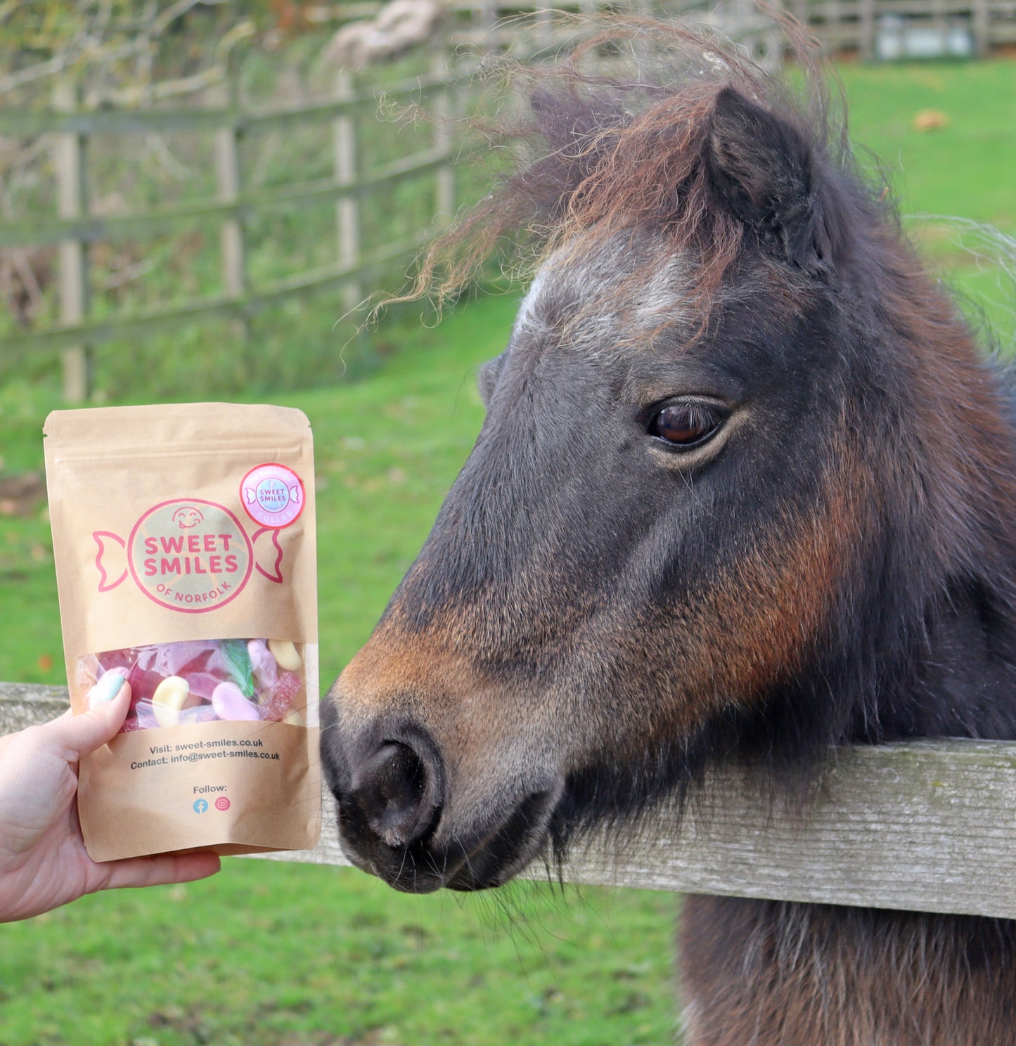 Sweet Smiles X Redwings Pick n Mix Bag