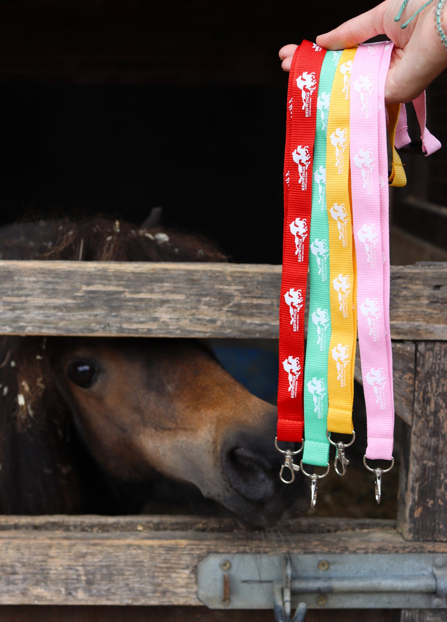 Redwings Eco Lanyard - S/S 2025