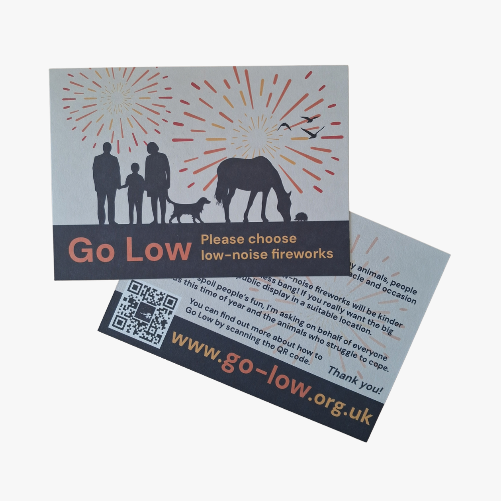Go Low Postcards -Pack of 10