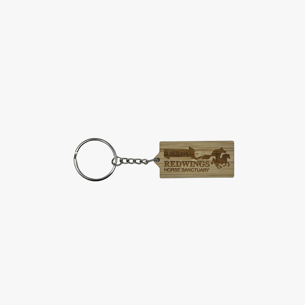 Redwings Logo Bamboo Keyring