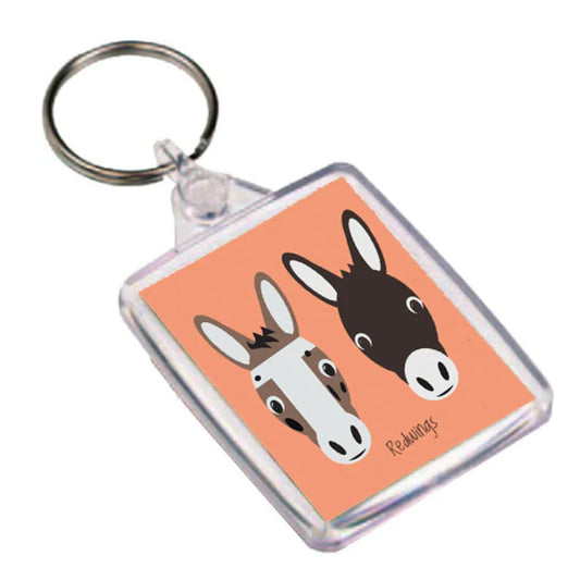 Porte-clés illustré Redwings