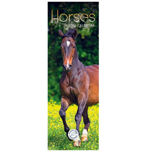 Horses Slim Calendar 2026