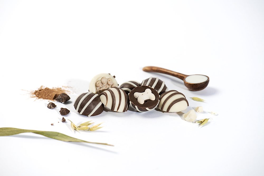 Ruffingtons Terrier Truffles