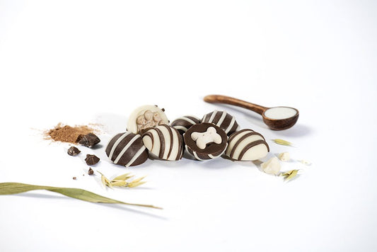 Ruffingtons Terrier Truffles