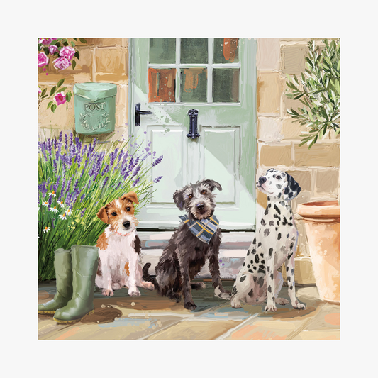 Time for a walk? Blank Card