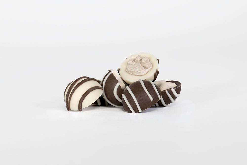 Ruffingtons Terrier Truffles