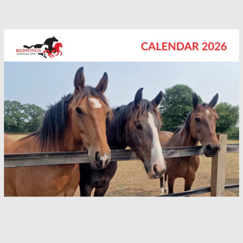 Redwings A4 Calendar 2026