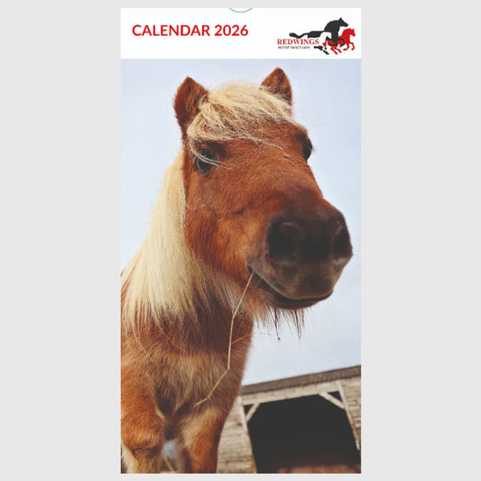 Redwings Postcard Calendar 2026