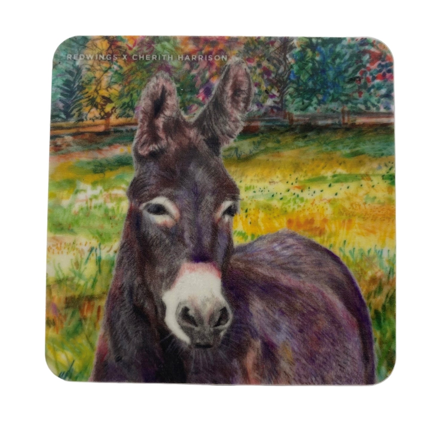 Denver the Donkey Magnet