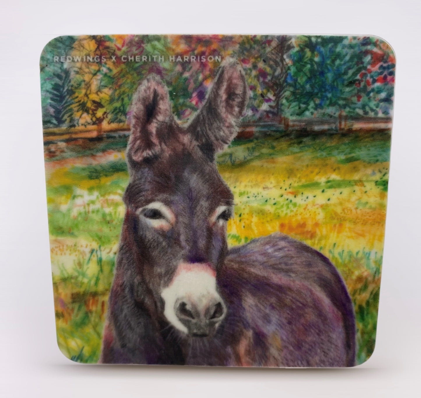 Denver the Donkey Magnet