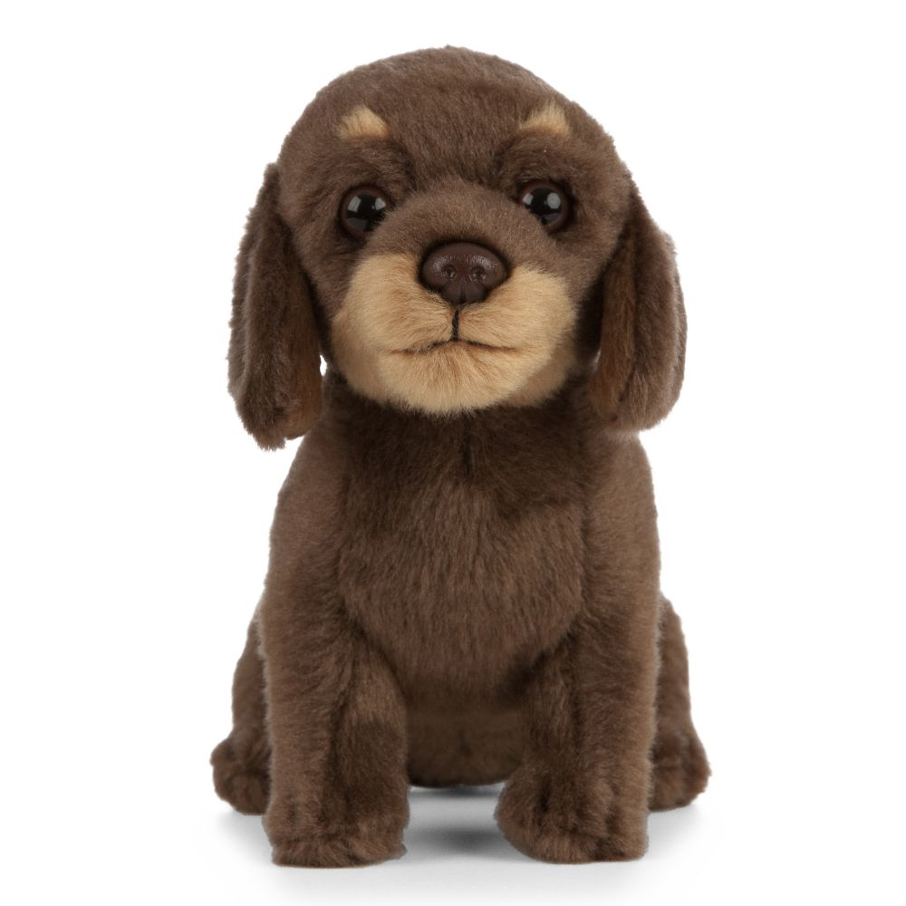 Living Nature Dachshund Puppy