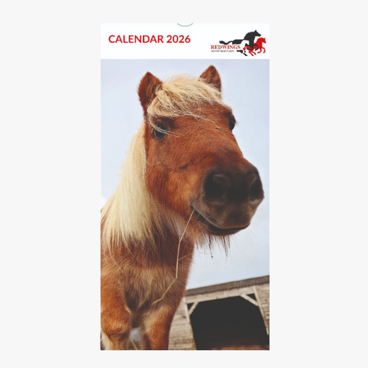 Redwings Postcard Calendar 2026