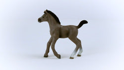 Schleich Cheval de Selle Francais Foal