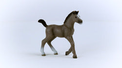 Schleich Cheval de Selle Francais Foal