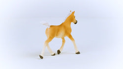 Schleich Haflinger Foal