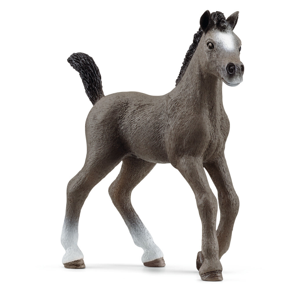 Schleich Cheval de Selle Francais Foal