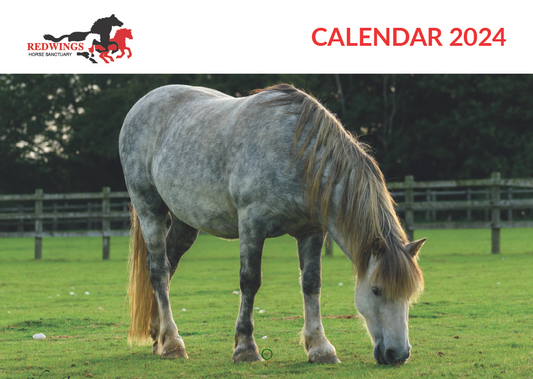 Redwings A4 Calendar 2024