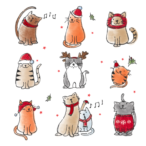 Festive cat clearance