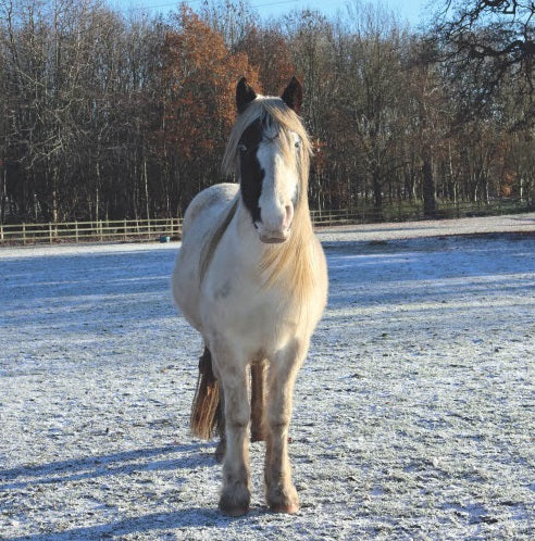 Aileen in the Snow