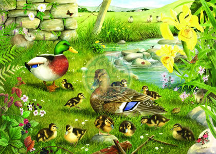 Ducks to Water BIG500