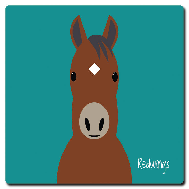 Imán cerámico ilustrado de Redwings
