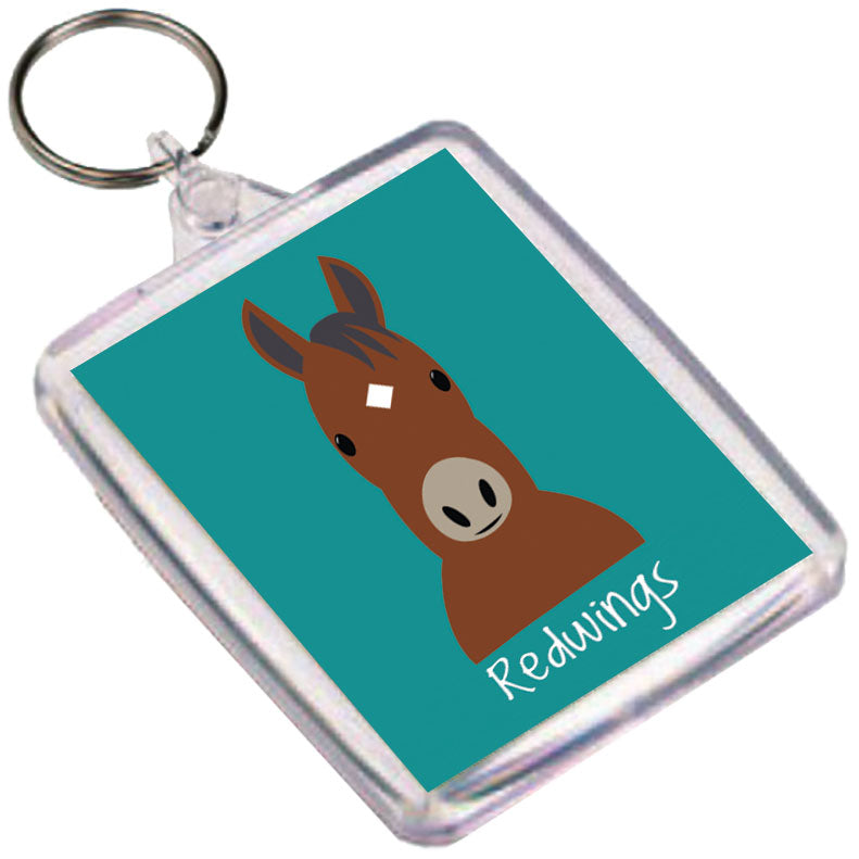 Redwings Illustrated Keyring