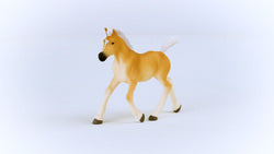 Schleich Haflinger Foal