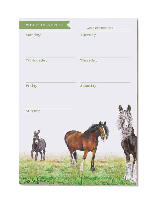 Agenda hebdomadaire Holly Blue