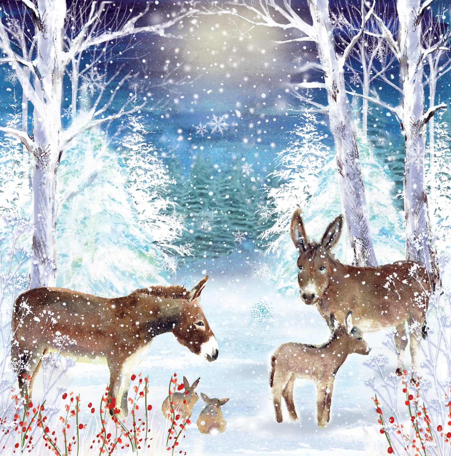 Donkeys on Christmas Eve
